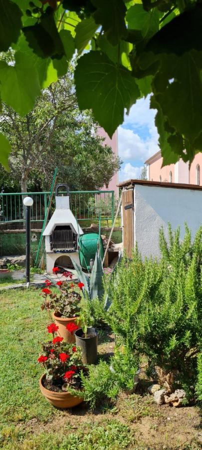 Apartmani Centar Seline Paklenica ภายนอก รูปภาพ